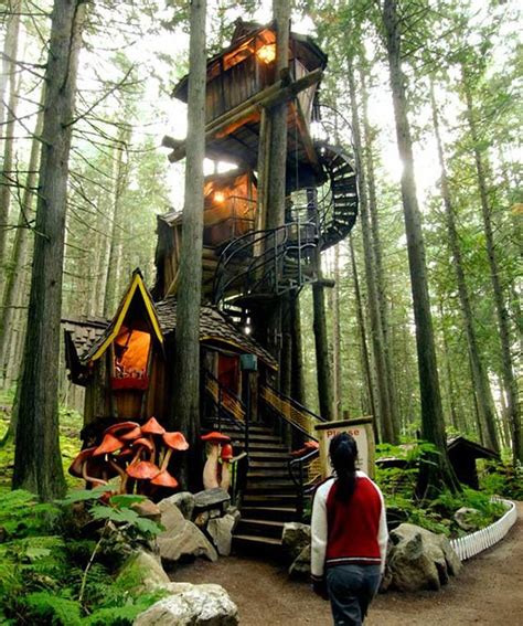 Magical forest treehouse
